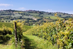 la-tenuta-vigneto-subretia-residenze-di-campagna-montefalco